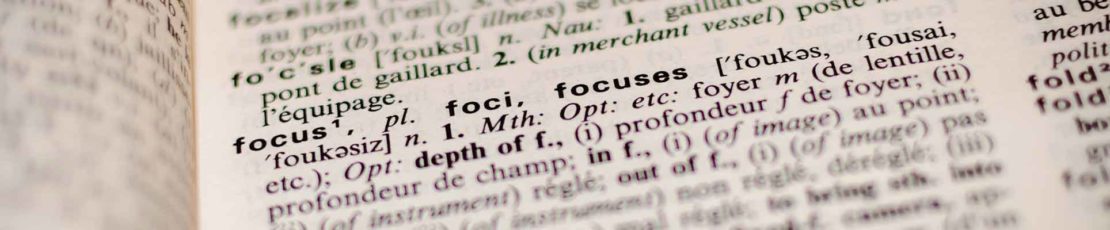 Dos and Don’ts in Multilingual Terminology Database Creation