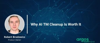 Why AI TM Cleanup Is Worth It