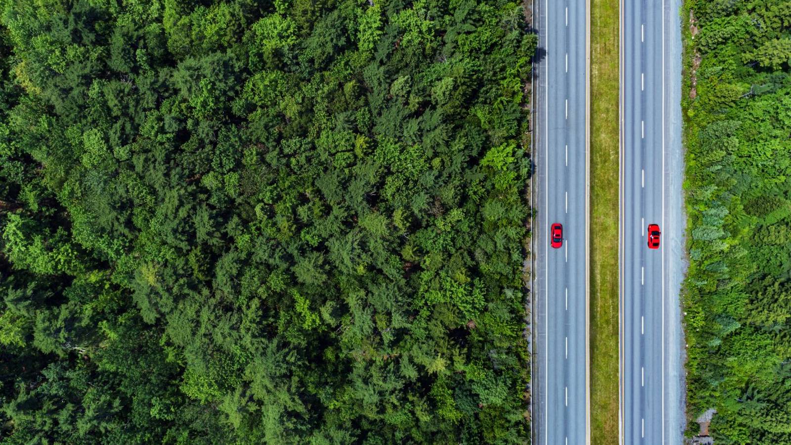 Aerial view of two matching red cars on a highway beside a forest illustrating the choice between one vendor or two for localization